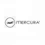 Mercura solutii hoteliere