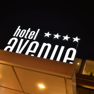 Hotel Avenue Buzau