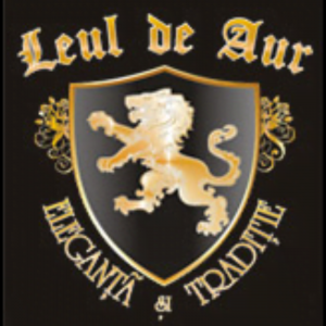 Hotel Leul de aur Sebes